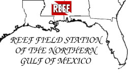 REEF Field Station of the Northern Gulf of Mexico